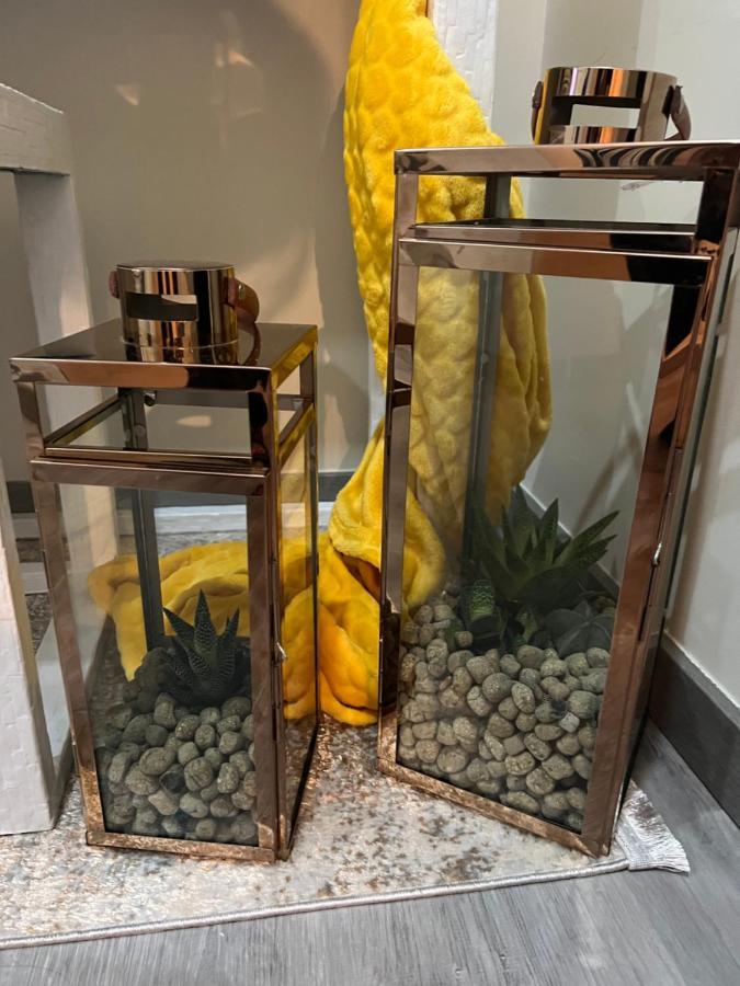Casa Das Flores Ll Paredes de Coura Kültér fotó