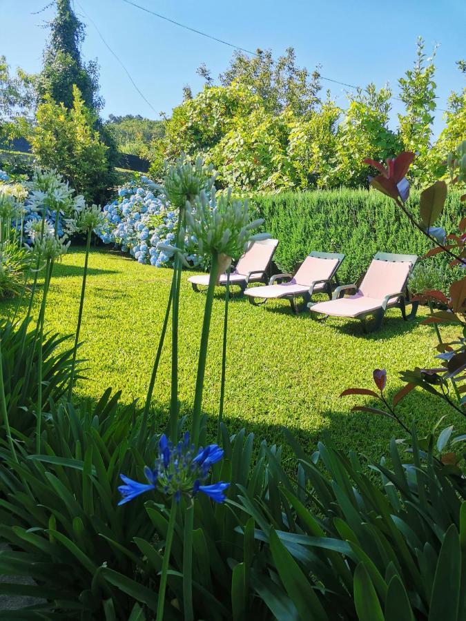 Casa Das Flores Ll Paredes de Coura Kültér fotó
